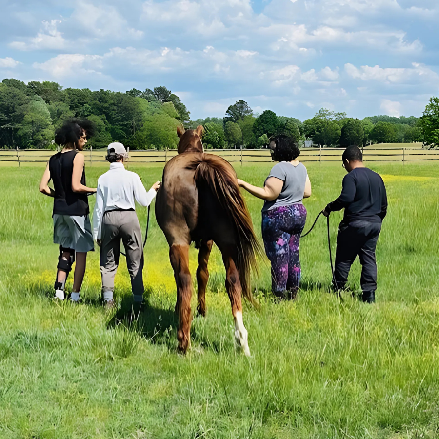 Group of people walking with a horse in a green field during an equine therapy session
