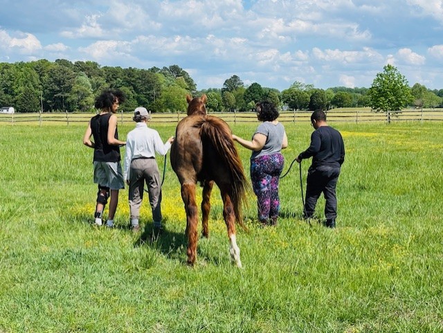 Group of people walking beside a horse in a grassy field under a blue sky during an outdoor wellness activity.